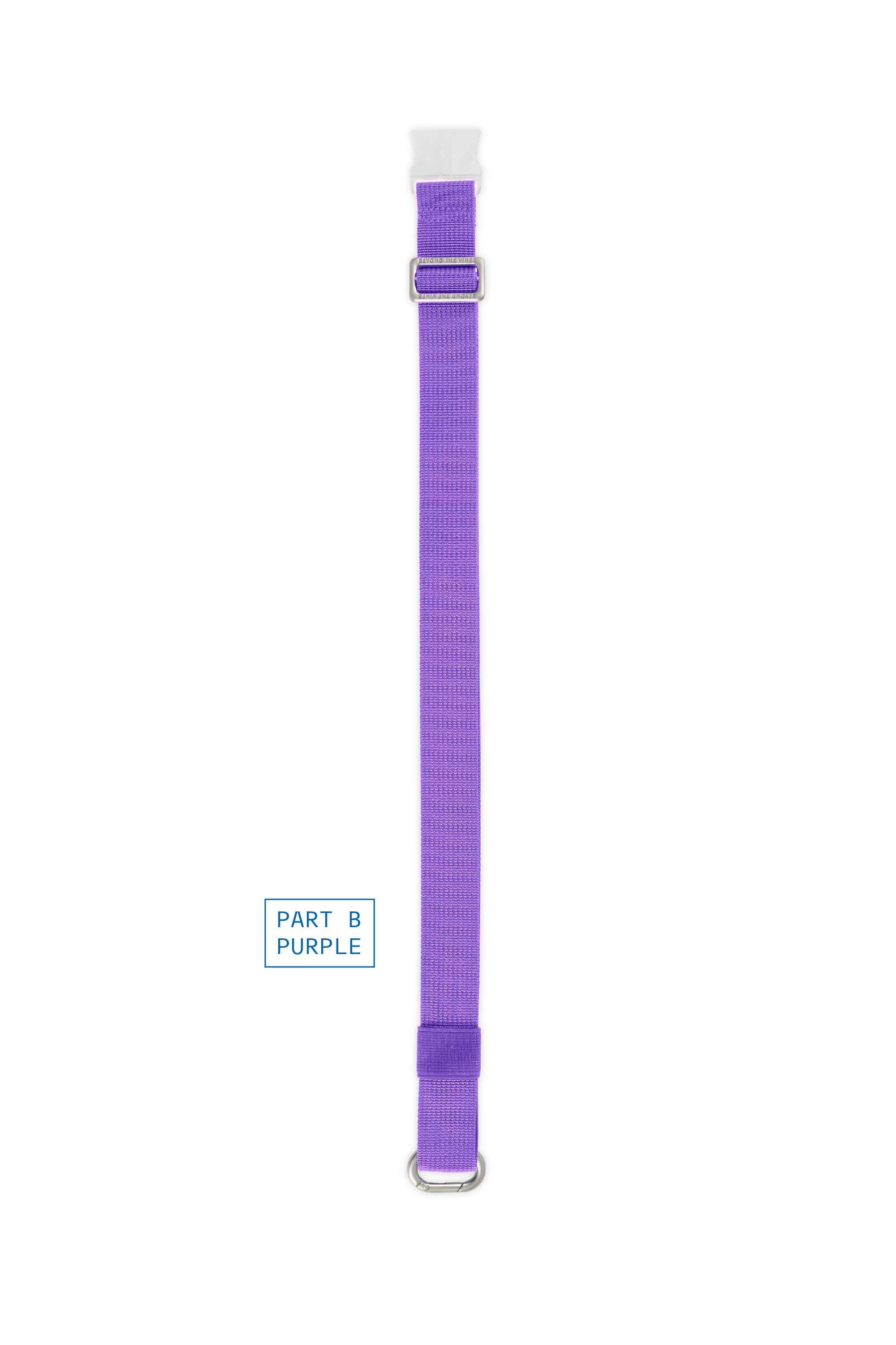 Advisor Profile Picture